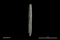 藏品(兩縊型網墜)的圖片